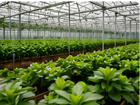 Agriculture